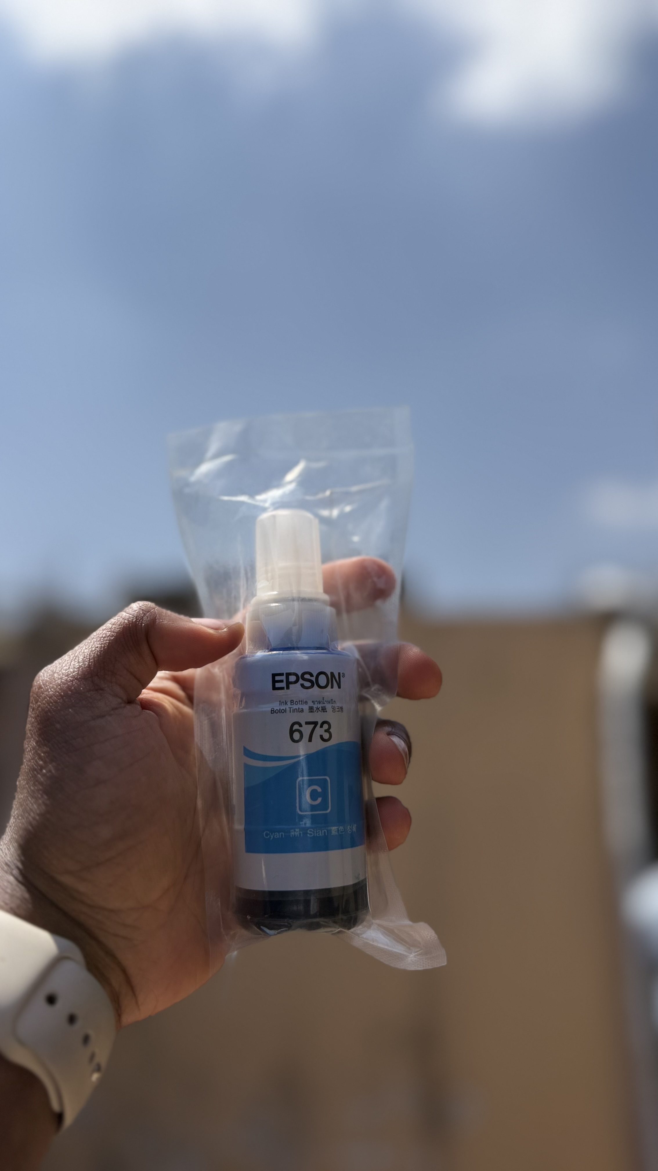 Epson 663 Cyan Genuine Ink