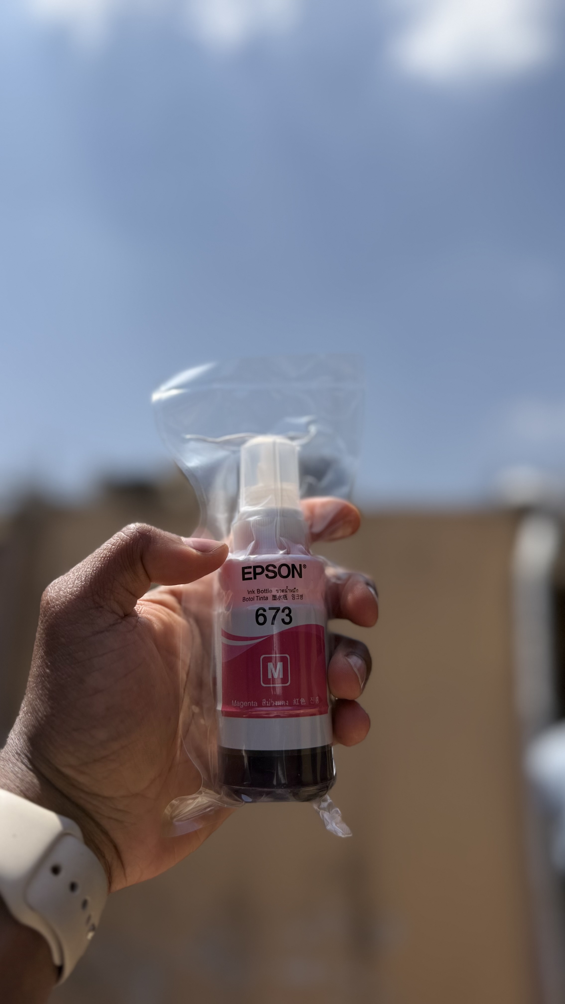 Epson 663 Magenta Genuine Ink